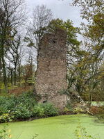 Burgruine Bernsau in Overath